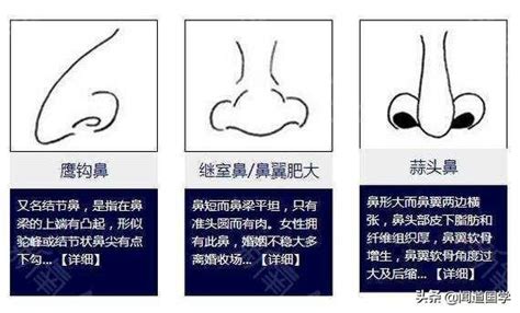 面相分析鼻子|面相學之鼻型解析、全面解讀鼻子與命運